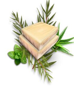 Tea Tree Oil Bar Soap With Peppermint And Aloe Vera